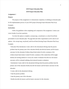 Nursing Project Education Plan Essay Example – page 2