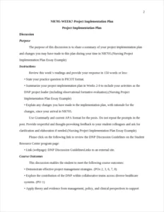 Nursing Project Implementation Plan Essay Example – page 2