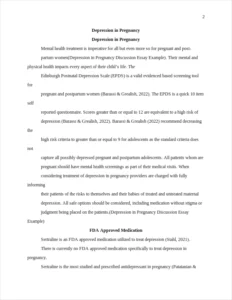 Depression in Pregnancy Discussion Essay Example – page 2