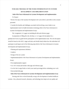 Role of the Nurse Informacist in Systems Development and Implementation Essay – page 2