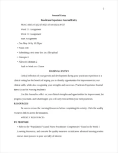 Practicum Experience Journal Entry Essay for Nursing Students – page 2