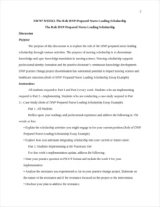 Role of DNP Prepared Nurse Leading Scholarship Essay Example – page 2