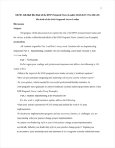 Role of the DNP Prepared Nurse Leader Essay Example – page 2