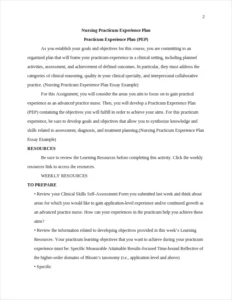 Nursing Practicum Experience Plan Essay Example – page 2
