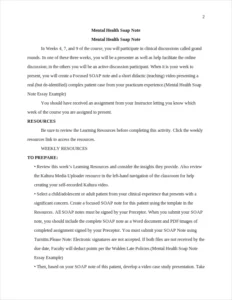 Mental Health Soap Note Essay Example – page 2