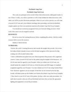 Psychiatric Soap Note Essay Example – page 2