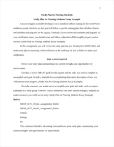 Study Plan for Nursing Students Essay Example – page 2