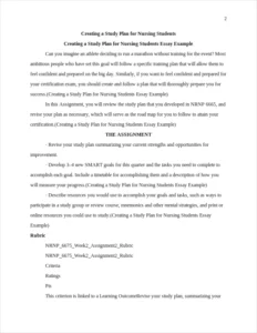 Creating a Study Plan for Nursing Students Essay Example – page 2