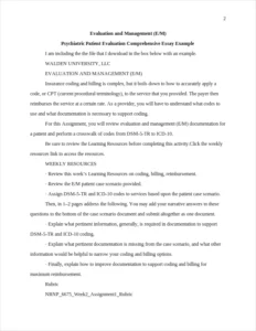 Psychiatric Patient Evaluation Comprehensive Essay Example – page 2