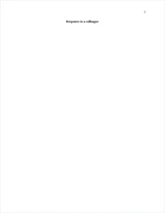 Response to a colleague – page 2