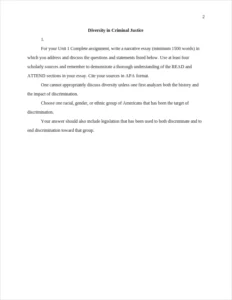 Diversity in Criminal Justice – page 2