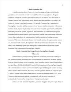 Health Promotion Plan Comprehensive Nursing Paper Example – page 2