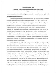 Community Action Plan Comprehensive Nursing Essay Example – page 2