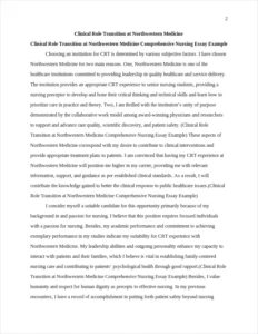 Clinical Role Transition at Northwestern Medicine Comprehensive Nursing Essay Example – page 2