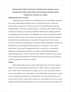 Simulated DNP Evidence-based Project and Professional Leadership Capacity Comprehensive Nursing Essay Example – page 2