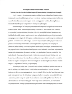 Nursing Practice Practice Problem Proposal Comprehensive Nursing Essay Example – page 2