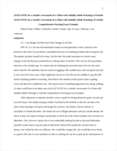 SOAP NOTE for a Suicide Assessment of a Client with Initially Subtle Warnings of Suicide Comprehensive Nursing Essay Example – page 2