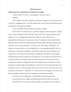 Clinical Soap Note Comprehensive Nursing Essay Example – page 2
