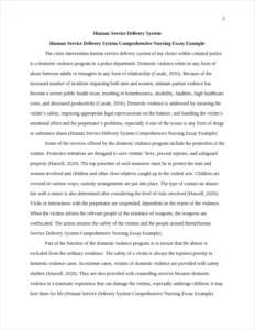 Human Service Delivery System Comprehensive Nursing Essay Example – page 2