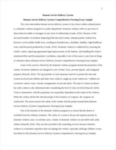 Human Service Delivery System Comprehensive Nursing Essay Sample – page 2