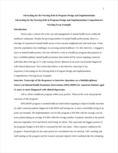 Advocating for the Nursing Role in Program Design and Implementation Comprehensive Nursing Essay Example – page 2