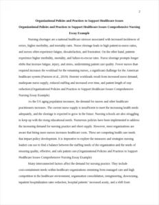 Organizational Policies and Practices to Support Healthcare Issues Comprehensive Nursing Essay Example – page 2