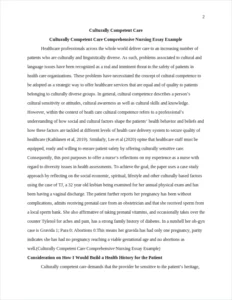 Culturally Competent Care Comprehensive Nursing Essay Example – page 2