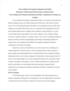 Overcrowding in the Emergency Department and Delays Comprehensive Nursing Essay Example – page 2