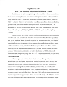 Using CPOE and CDSS Comprehensive Nursing Essay Example – page 2