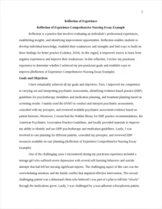 Reflection of Experience Comprehensive Nursing Essay Example – page 2